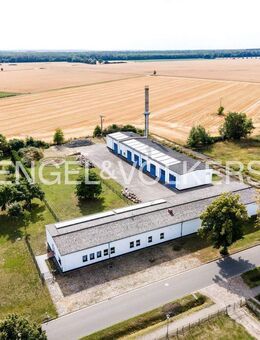 Großzügige Immobilie mit Gewerbeanteil und Ausbaupotential für 4 Wohnungen - Loitz