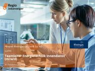 Teamleiter Energietechnik Innendienst (m/w/d) - Dobbin-Linstow