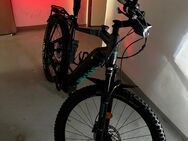 Haibike SDURO 7.0 Trekking eBike - Goslar Georgenberg