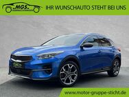 Kia XCeed, 1.4 Platinum Edition TGDI, Jahr 2020 - Kulmbach