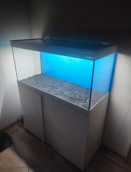 Aquarium mit Unterschrank, sofortige Lieferung, Abholung - Schweinfurt