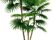 Kunstbaum Fächerpalme, I.GE.A., Höhe 105 cm, Im konischen Topf