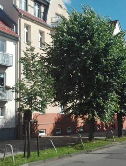 Helle 3,5-Zimmer-Wohnung mit Balkon und Einbauküche in zentraler Lage - Fleischervorstadt - Greifswald