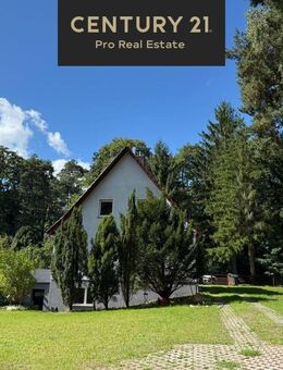 Exklusiv: Einfamilienhaus mit Sauna, Kamin & großem Garten in Bad Saarow! - Bad Saarow