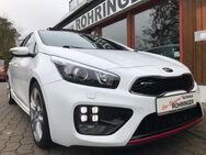 Kia Ceed 1.6 T-GDi GT-Track-18Alu-Panoramaglasdach - Obermichelbach