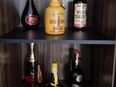 Wertvolle Alkohol Sammlung Whiskey/Cognac/Wein in 48734