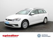 VW Golf Variant, 1.6 TDI Trendline, Jahr 2019 - Würzburg