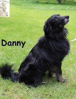 Der fröhliche kleine Danny fragt: ... - Kissing