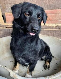 Nicoletta - Schönheit sucht Liebe - Koblenz