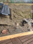 Terrarium für Schildkröten Babys 800x400x400 in 92637