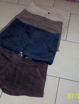 4 SHORTS PAKET dunkelbraun Karo , petrol Feincord, olivegrün, hellbeige - Schauenburg
