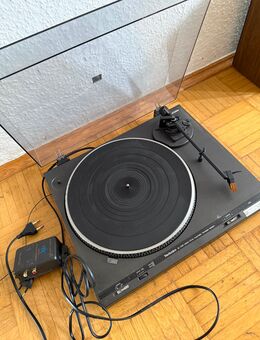 Schallplatten Spieler zu verkaufen - Mettmann Zentrum