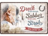 Tolles Blechschild Pferde Dreck, Stroh Pferdesport Reiter Reiterin 15x20 cm - Hamburg
