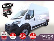 Fiat Ducato, 2.2 35 Mjet 140 L5H3 5"- 270°, Jahr 2024 - Kehl