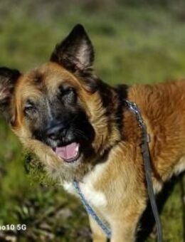 LEON 💙 sucht sein Traumkörbchen - Fahrenzhausen