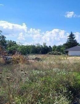 Ihre Zukunft in Beeskow! - Beeskow