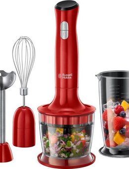 RUSSELL HOBBS Stabmixer Desire 3in1 24700-56, 500 W, 2 Geschwindigkeitsstufen, Edelstahlmesser, spülmaschinengeeignet