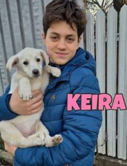 Kleine Keira sucht ihr FürImmerZuHause ♥ - Neuberg