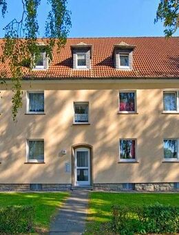 Ab dem 16.11 möglich 3-Zimmer-Wohnung in Steinheim - Steinheim