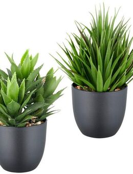 Kunstpflanze Sukkulenten, Creativ green, Höhe 21 cm, mit dekorativem Kies
