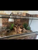 Terrarium Glas Wirbeltiere 100x50x50 in 48351