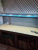 Aquarium/Terrarium 1,80m in 40545