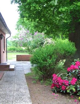 Herrliche helle 5-Zi-Erdgeschoss-Wohnung mit Einbauküche, Terrasse & Garten auf dem Land in Steden - Holste