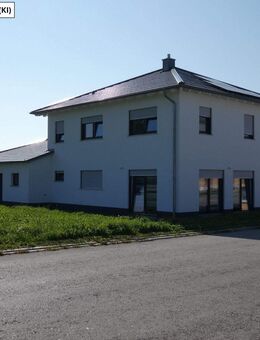 Modernes EFH in Massivbauweise mit großzügigem Grundstück - Höchstädt (Donau) Zentrum