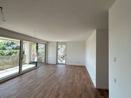 Spektakuläres Penthouse mit 35m² Dachterrasse im Stadtzentrum - Blaustein