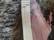 Puma Sneaker - Kaltenborn