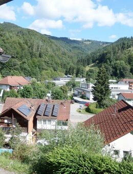Preiswertes Haus mit attraktiver Aussicht - Zell (Wiesental)