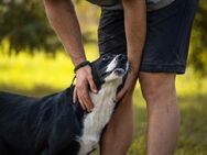 GRETCHEN - am liebsten spielen und toben - Overath