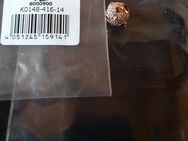 Thomas Sabo Charm Kugelfisch Fugu rosegold ovp - Frankfurt (Main) Zeilsheim