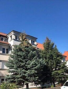 Frisch sanierte Wohnung im Dachgeschoss! - Meißen