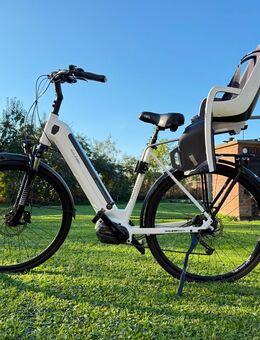 Raleigh Sheffield E-Bike, Shimano Mittelmotor - Holtland