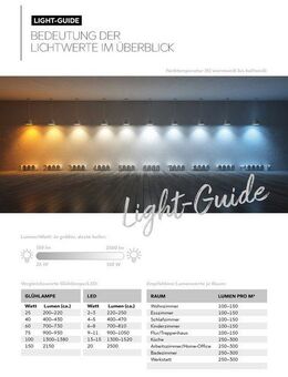 TRIO Leuchten LED Wandleuchte Louis, LED fest integriert, Warmweiß, schwarz mit up-and-down Beleuchtung, Innenseite goldfarbig