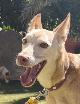 Truan - Geilenkirchen