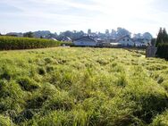 Ebenes Baugrundstück, in grüner Lage . voll erschlossen . Neubaugebiet - Hohentengen