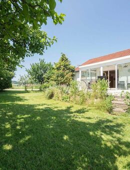 Leben und Arbeiten, wo die Seele atmet - Aussiedlerhof in traumhafter Alleinlage - Münsterhausen