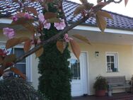 Ihr neues Zuhause! Wunderschönes Einfamilienhaus auf einer Etage mit großem Garten! - Kremmen