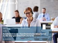 Kundenbetreuer / Kaufmännische Mitarbeiter in der Energiewirtschaft (m/w/d) - Bodelwitz