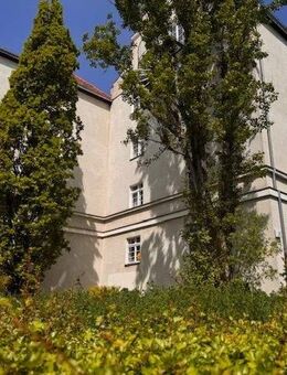 Vermietete Altbauwohnung in denkmalgeschütztem Bauensemble - Berlin