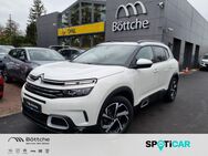 Citroën C5, 1.6 Aircross Shine, Jahr 2019 - Potsdam