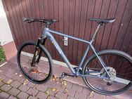 Trekking Bike, Canyon Pathlite 7 - Alsbach-Hähnlein