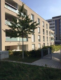 Schöne hochwertige 3-Zi. Whg. mit Balkon in Böfingen - Ulm