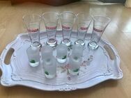 6 Original Hardenberger Schnapsgläser - Langenhagen