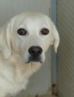 Oside möchte Ihr Leben bereichern - Neuss