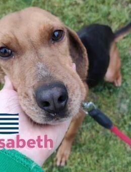 Elisabeth - sportlich und freundlich - Heppenheim (Bergstraße)