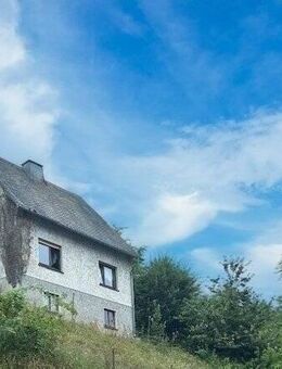 Willingen-OT, EFH - Willingen (Upland)