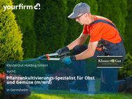 Pflanzenkultivierungs-Spezialist für Obst und Gemüse (m/w/d) - Gernsheim (Schöfferstadt)
